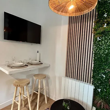 Appartement Tropical Ambiance Saint-Brieuc