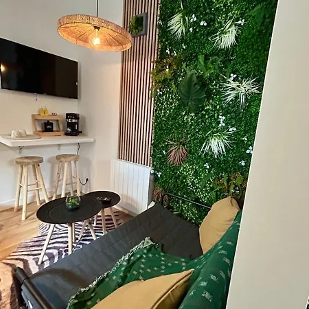 Tropical Ambiance Apartment Saint-Brieuc